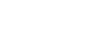Ardex